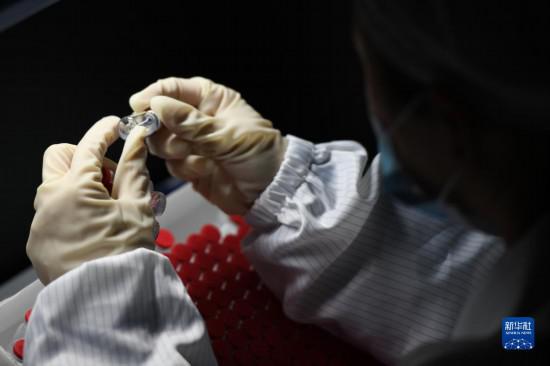 最大規模疫苗接種為什么“能”