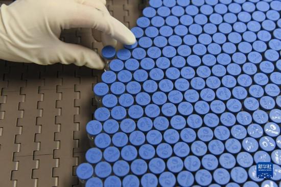 最大規模疫苗接種為什么“能”