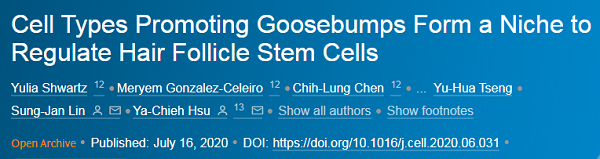 禿頭有救啦！一身雞皮疙瘩竟與生發(fā)有關，禿頭青年必看