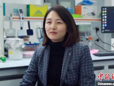 滬科研團隊：過量補充葉酸或葉酸代謝不足對生物體早期發育有負面作用