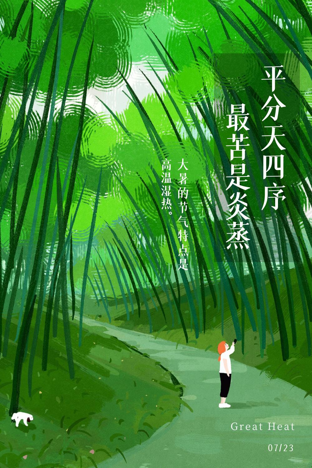 今日大暑宜靜心賞荷