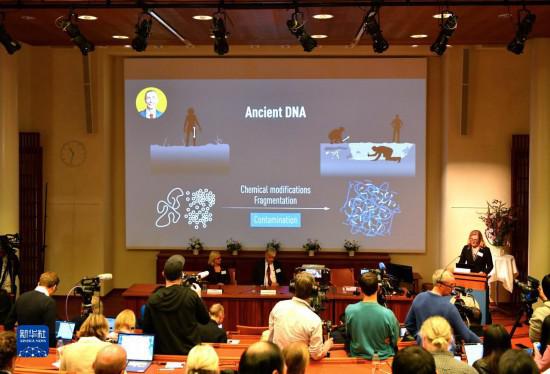 瑞典科學家獲2022年諾貝爾生理學或醫學獎-易網健康養生網 瑞典科學家獲2022年諾貝爾生理學或醫學獎