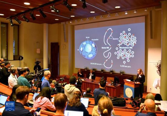 瑞典科學家獲2022年諾貝爾生理學或醫學獎-易網<a href=http://m.henggaotouzi.com/ target=_blank class=infotextkey>健康養生</a>網 瑞典科學家獲2022年諾貝爾生理學或醫學獎