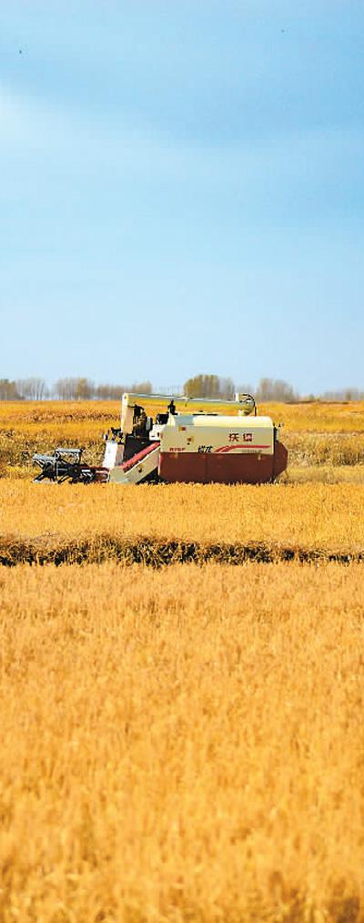 中國(guó)力度催人奮進(jìn)