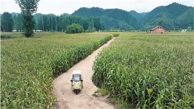 強(qiáng)基層，給全民健康更有力支撐