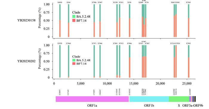 同時感染奧密克戎兩種毒株!如何看待這個“首次發現”?-易網健康<a href=http://m.henggaotouzi.com/jkys/ target=_blank class=infotextkey>養生</a>網 同時感染奧密克戎兩種毒株!如何看待這個“首次發現”?