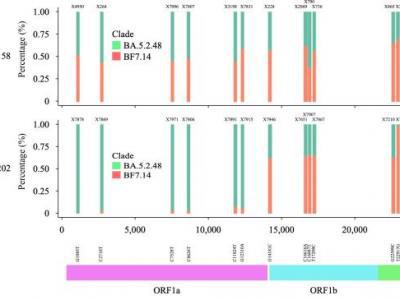 同時感染奧密克戎兩種毒株！如何看待這個“首次發現”？