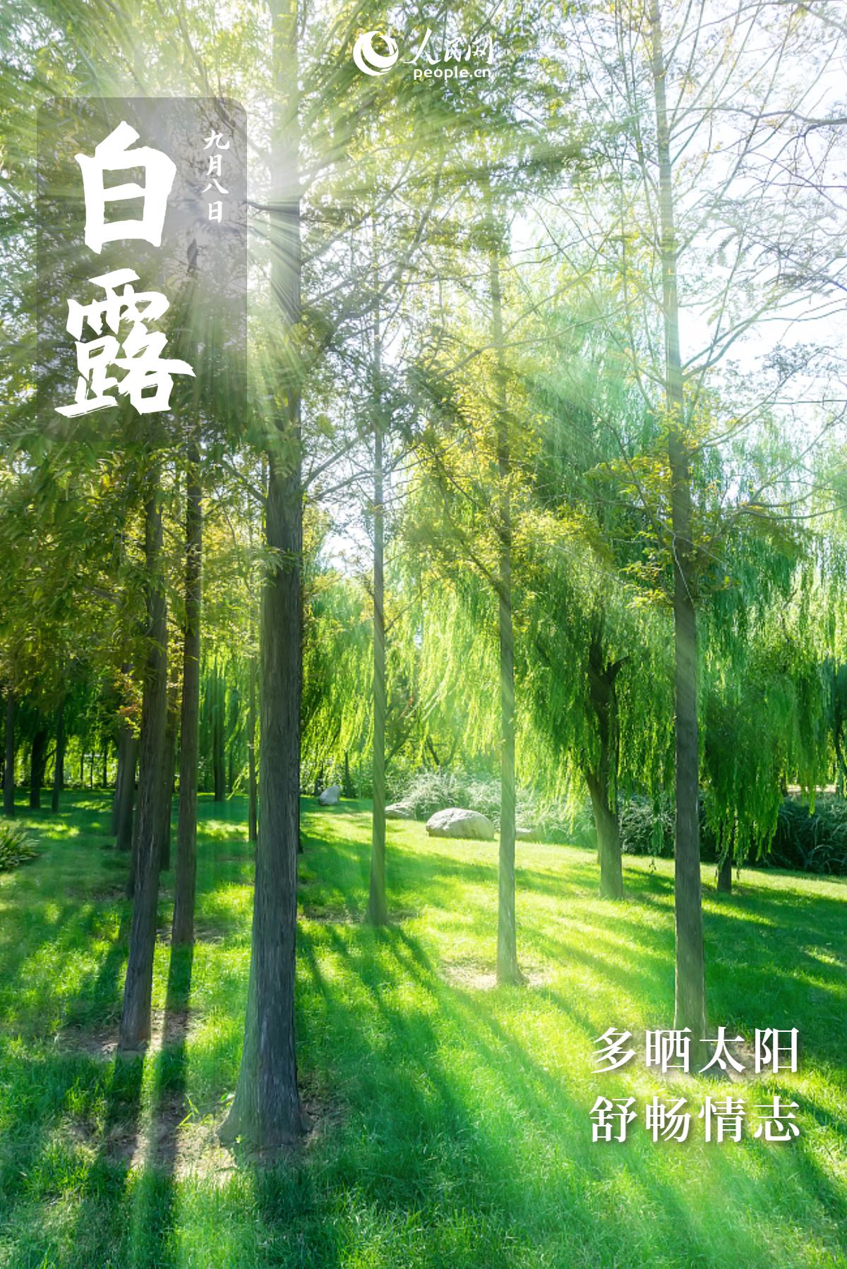 白露寒氣生,養生應注意哪些要點?-易網健康養生網 白露寒氣生,養生應注意哪些要點?