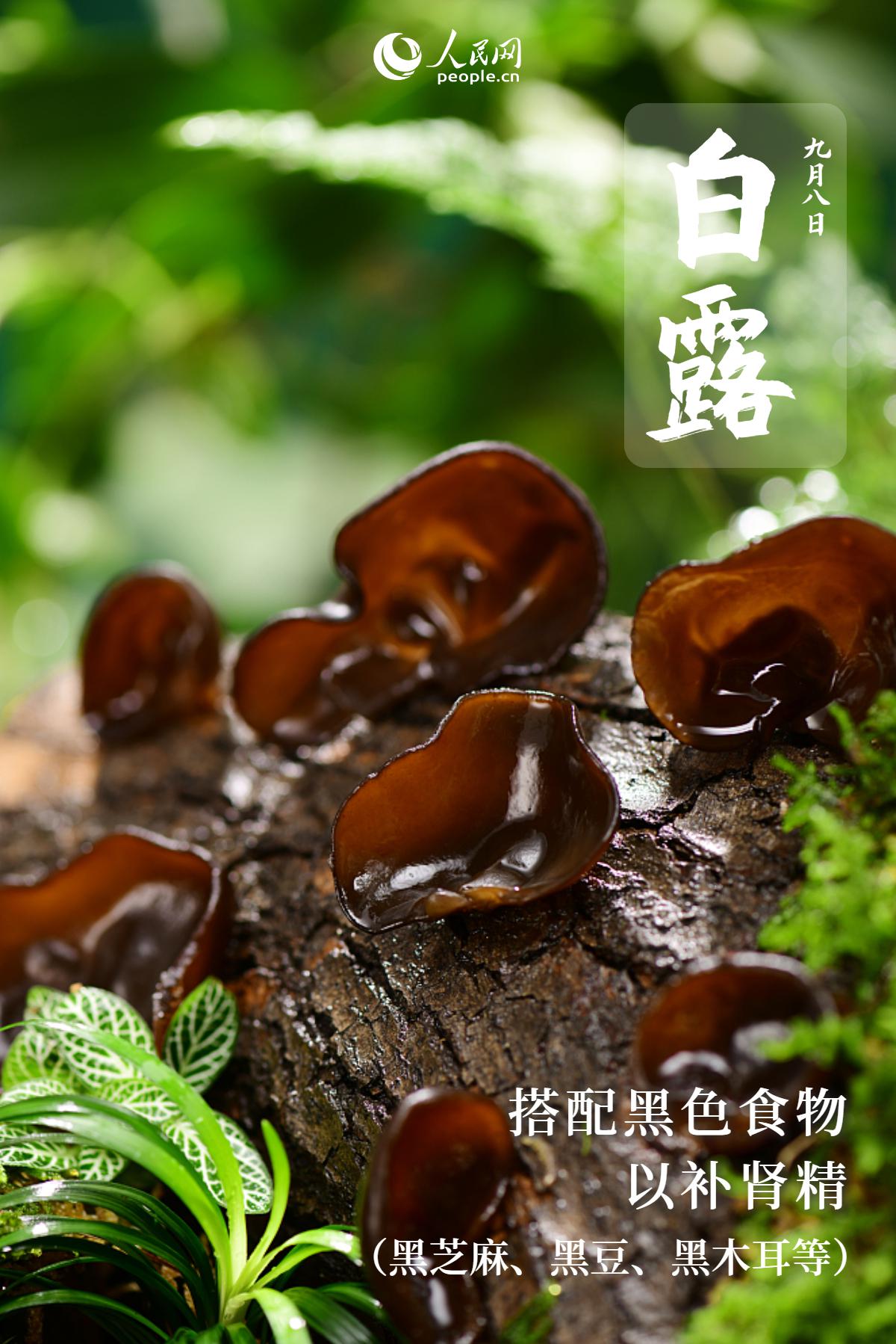 白露寒氣生,養生應注意哪些要點?-易網健康養生網 白露寒氣生,養生應注意哪些要點?