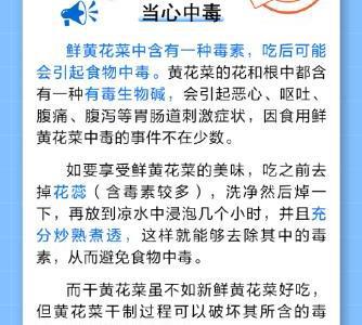 黃花菜吃鮮的更好？