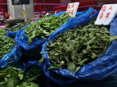 鈣含量在蔬菜中“名列前茅” 它的好處竟然有這么多！