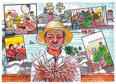 天冬種出“甜日子”