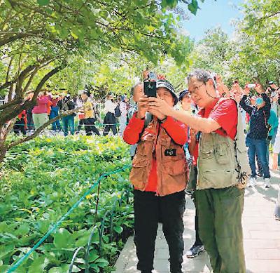 銀齡生活“有知有味”