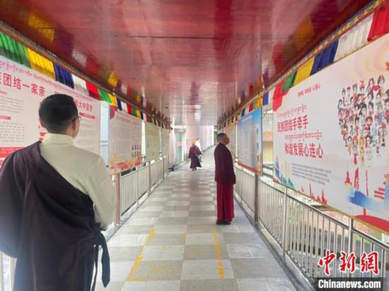 “非遺”護健康 高原“藏”良方