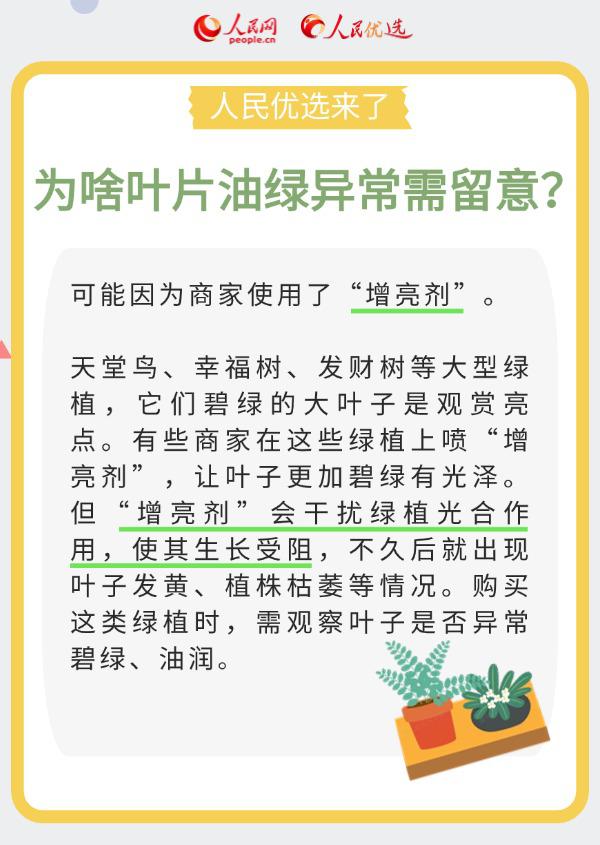 室內花卉綠植怎么選?實用小貼士請查收-易網健康養生網 室內花卉綠植怎么選?實用小貼士請查收
