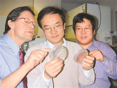 我在浦東做新藥（千行百業看海歸）