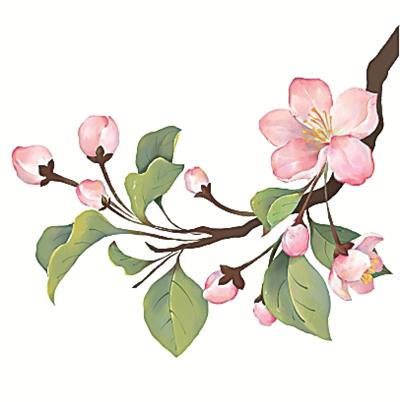 二十四節(jié)氣二十四問(wèn)