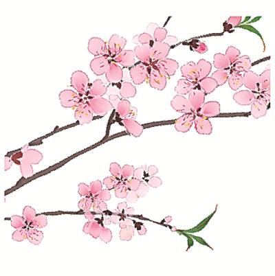 二十四節(jié)氣二十四問(wèn)