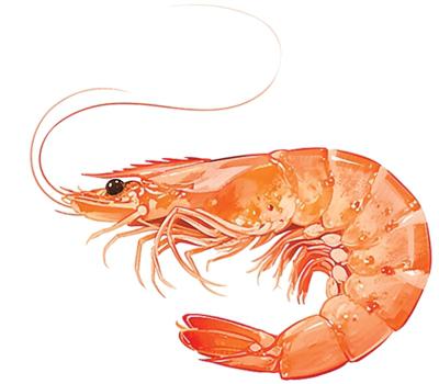 這樣吃海鮮  好吃又安全（健康驛站）