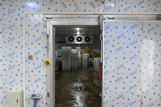 從“一日色變”到“四季常鮮”，解碼荔枝的現代保鮮秘訣