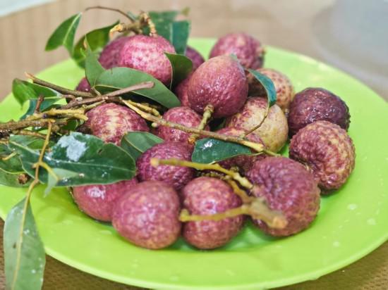 從“一日色變”到“四季常鮮”，解碼荔枝的現代保鮮秘訣