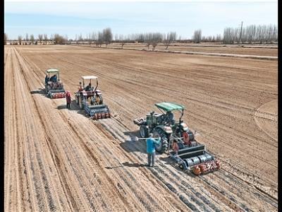 板藍(lán)根能預(yù)防感冒嗎？（杏林尋寶）