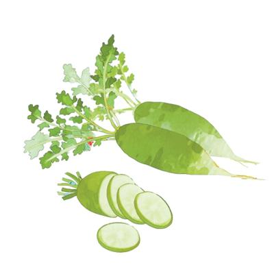 為什么“冬吃蘿卜夏吃姜”（文化中國行·二十四節(jié)氣二十四問）