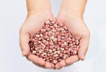 這一物比薏米祛濕還厲害