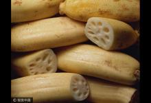 入秋三分虛，進補正當時！常吃十種寶，勝過冬蟲草