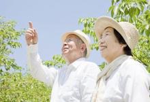 老人養生記住這五件事 防病又長壽