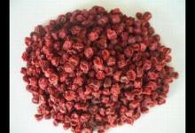 五味子能延緩衰老 食用需注意這些