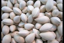 白果怎么吃才不會(huì)中毒？