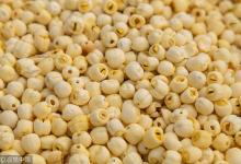 補(bǔ)腎補(bǔ)肝養(yǎng)胃健脾，4大“養(yǎng)生高手”全包了