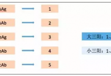 它是心臟和血管的保護傘！每周吃一次，血管清明人長壽！