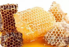 常吃蜂蜜美容養顏？小心子宮內膜癌