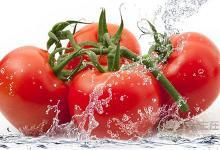 吃番茄好處多，但是禁忌你們懂嗎？