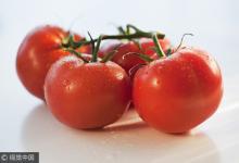 長這樣的西紅柿，再便宜也別買