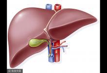 春季養肝有四法，從食物上下工夫