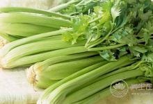 人到中年血管容易堵塞，常吃這幾種食物，讓血管變干凈暢通無阻