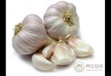 大蒜有防癌功能 怎么吃才能發揮功效