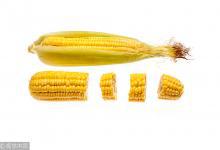 每天吃一點它，清肺化痰幫你保護肺