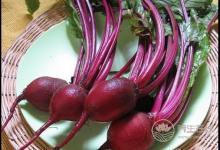 新發(fā)現(xiàn)：喝甜菜根汁，讓人跑的更快