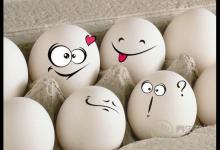 如何辨別真假雞蛋