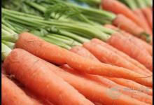 腸胃炎不只有白粥，4種養胃菜