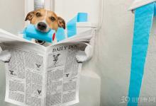 關(guān)于長(zhǎng)壽，你有4個(gè)真相要知道！