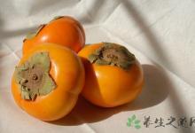 上班族夏季多吃什么水果