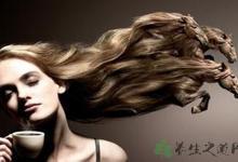 電腦族吃什么補品好