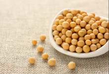 預(yù)防動脈硬化的食物有哪些？