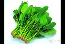 體重遲遲下不去？減肥期間吃這三樣，讓你瘦不停