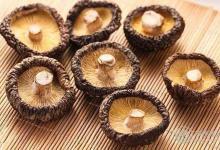 食用香菇應該要注意哪些禁忌